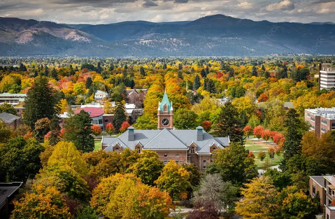 Accounting Image 3 e1767365640567